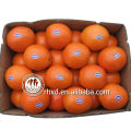 Name aller gelben Frucht Navel Orange Mandarine Zitrone Zitrusfrüchte